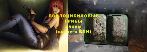 индика Приозерск